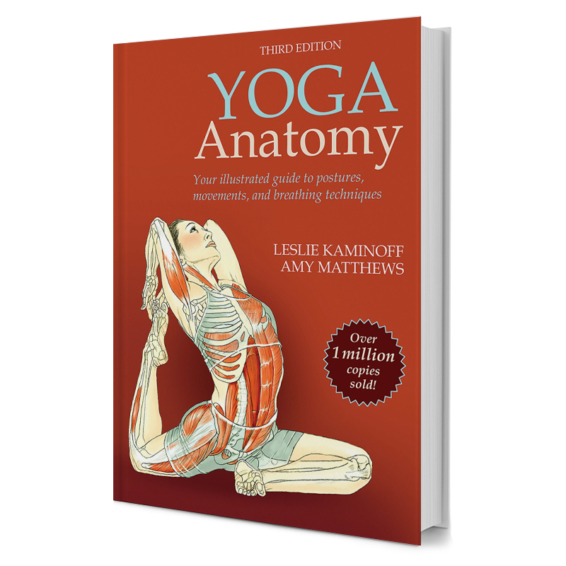 Anatomisk Yoga Guide – Uundgåelig Ressource til Yoga Praksis