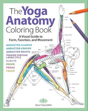 Amp The Yoga Anatomy Coloring Bookamp Kelly Solloway Bog - Kelly Solloway Fitwell - 9781640210219